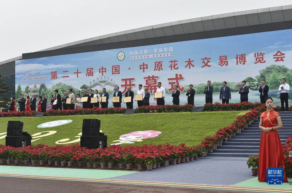 澳门新京